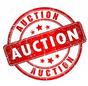 YSD-1 AUCTION